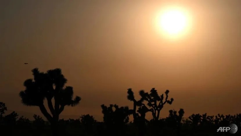 UN 'survival guide' report a stark warning on climate