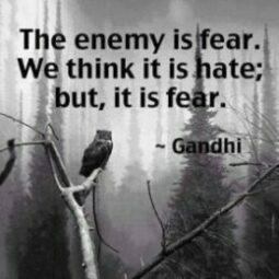 We think the enemy is hate; but. it is fear.
