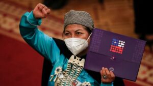 A Mapuche woman supports Chilean constitution